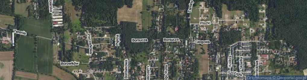 Zdjęcie satelitarne Borsucza ul.